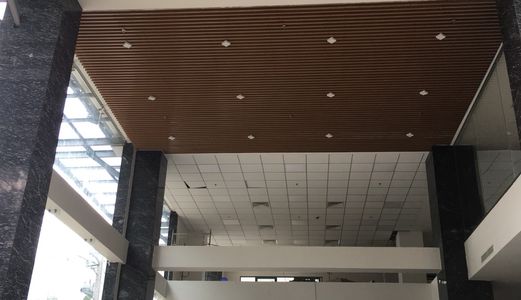 Cho Thuê Mặt Bằng Trệt Lửng Tòa Nhà Mặt Tièn 56 Nguyễn Đình Chiểu, Quận 1