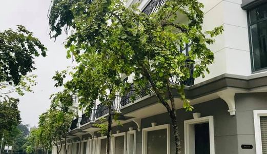 Vincom Shophouse Yên Bái Giá Chỉ Từ 2 Tỷ /căn. Sổ Đỏ Chính Chủ Sở Hữu Vĩnh Viễn.