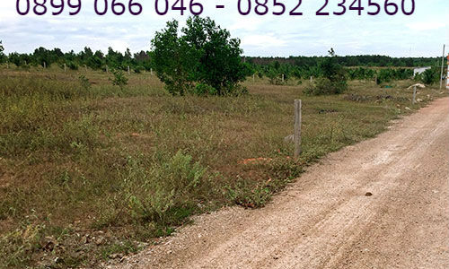 Đất Biệt Thự 1000M2 Liền Kề Sân Bay Phan Thiết Bình Thuận Lh 0899 066 046