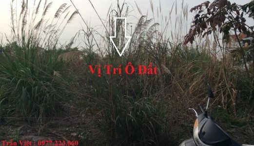 Bán Lô B3-32 Kđt Cao Xanh Hà Khánh A . Diên tích: 90M2, mặt tiền: 6M.Hướng: Đông Nam !!!