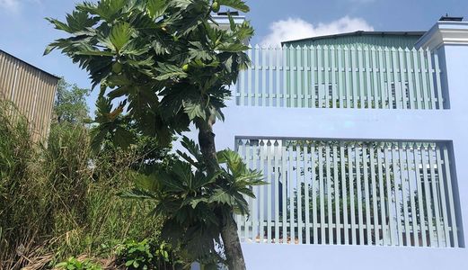 Bán Gấp Lô Đất Thổ Cư Mặt Tiền Quốc Lộ 50, Bình Chánh, 14,3 Tỷ/ 450M2 - Lh 0938729696 - Thái Thuỳ