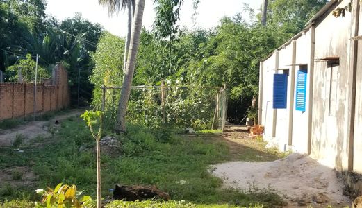 Đất Rẻ Đối Diện Chợ Bưng Riềng, Xuyên Mộc, 5X40M, Có Thổ Cư, 0336.335.234