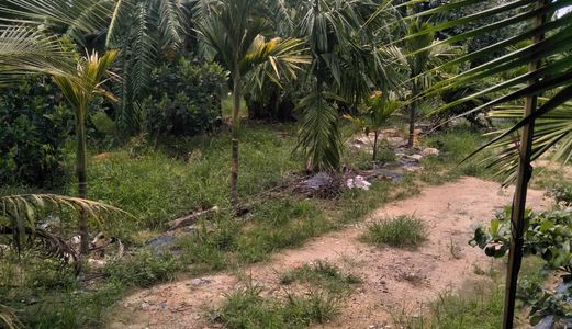 Cần Bán Gấp Lô Đất Xã Thiện Tân,Huyện Vĩnh Cửu,Biên Hoà,Đồng Nai