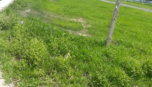 Bán Đất Nền Dự Án Gần Kcn Giang Điền(Đã Có Sổ, Thổ Cư 100%)