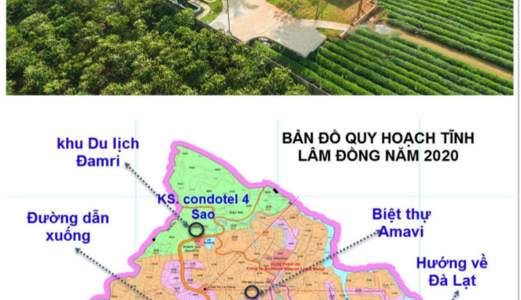 Sang Nhượng Biệt Thự Đambri Bảo Lộc 14.147 M2 Cách Cao Tốc Dầu Giây – Đà Lạt 1Km