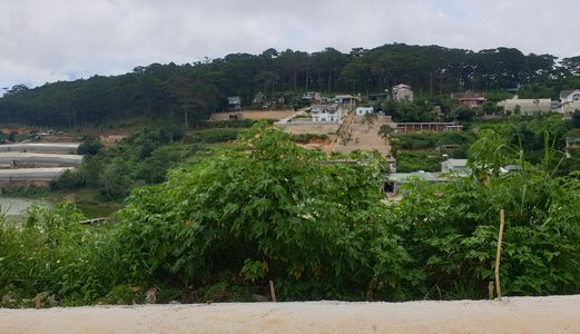 Bán Đất Đường An Sơn, Phường 4, Đà Lạt 94,6Mv Đ3954