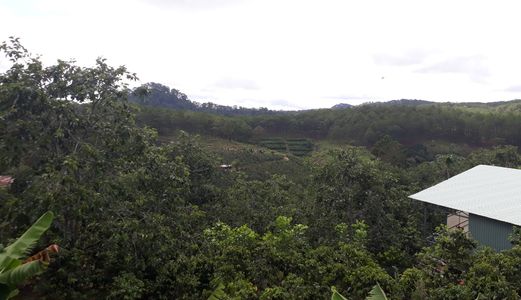 Bán Đất Thôn Đa Thọ, Xã Xuân Thọ, Đà Lạt 498,55Mv Đ3971