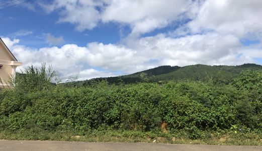 Bán Đất Đường Kqh An Sơn, Phường 4, Đà Lạt 262,2Mv Đ4004