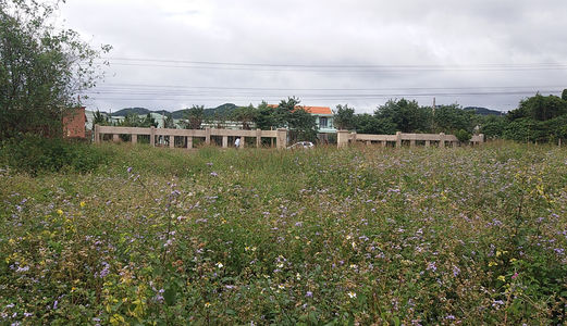 Bán Đất Thôn 5, Xã Tà Nung, Đà Lạt 3630Mv Đ3976