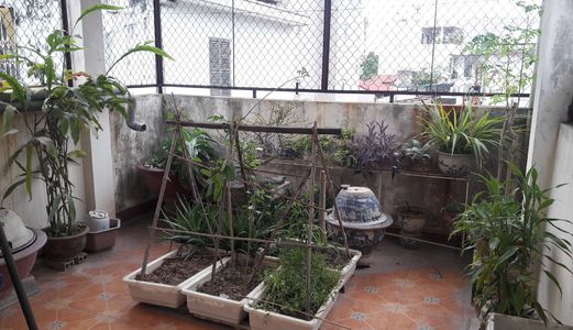 Bán Gấp Nhà Phố Kim Ngưu Gần Trần Khát Trân 4,5Ty 5 Tâng Xây Mới  Ngõ Vào Thông Thoáng