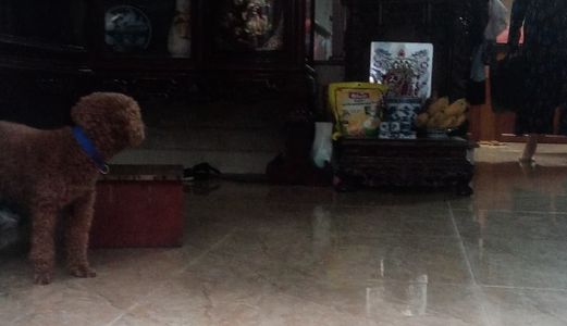 Bán Nhà Hoàng Văn Thái 30M 4Tầng, Nhà Đẹp Ở Ngay Giá 2.8 Tỷ.