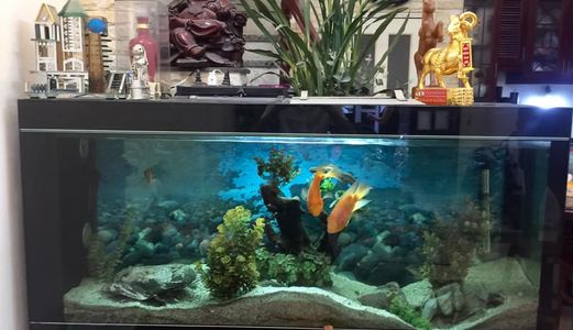 Bán Gấp Nhà Nguyễn Khang, 43M2, 3,55 Tỷ, Nhà Đẹp, Ở Luôn. 0978186665