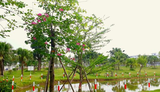 Bán Nhà Liền Kề Khu Đô Thị Nam 32 Hoài Đức, Hà Nội, 78M2, 4 Tầng, Giá Thỏa Thuận. Lh: 0366991753