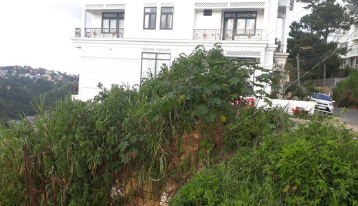 Bán Đất Đường Đặng Thái Thân, Phường 3, Đà Lạt 355,38Mv Đ4020