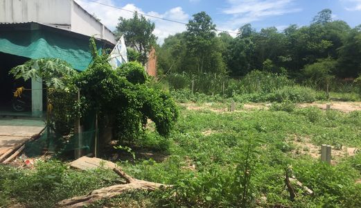 Đất Mặt Tiền Đường 100M2 Chỉ Có 500Tr _ Shr, Pháp Lý Rõ Ràng