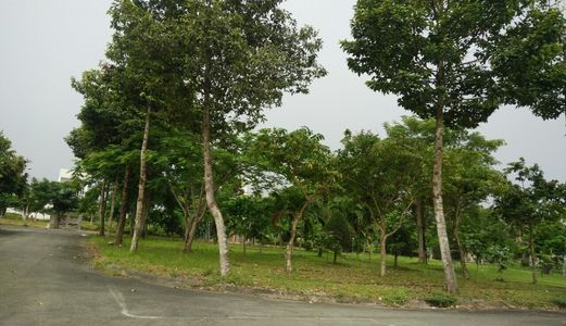 Chỉ 800 Triệu Có Ngay Lô Đất 100M2 Trung Tâm Củ Chi, Thổ Cư 100%, Sổ Hồng Đầy Đủ