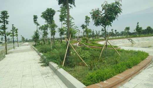 Đầu Tư Là Thắng Chỉ Có Kdt Đồng Văn Green Park- Đối Diện Kcn Đồng Văn Iv, Lh. 035.272.9668
