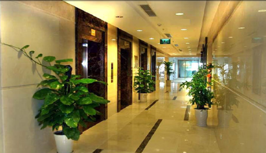 Chủ Đầu Tư Tòa Icon 4 Đê La Thành Cho Thuê 200M2 Văn Phòng. (Giá Chỉ 300 Nghìn/m2/tháng)