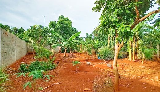 Bán Gấp Nhà Vườn 2,8 Tỷ Nhà Vườn Rộng 660M2 Đường Nhựa Đẹp