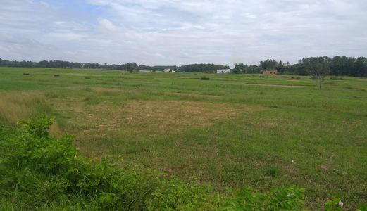 Bán Đất Vườn Có Thổ Cư Thái Mỹ, Quốc Lộ 22, Củ Chi