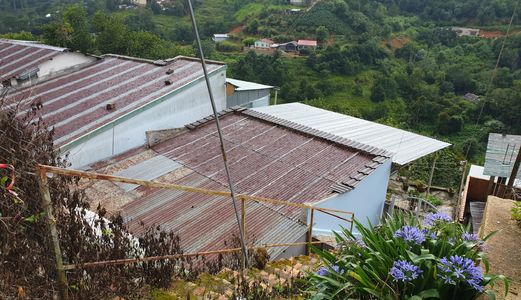 Bán Đất Đường Hoàng Hoa Thám, Phường 10, Đà Lạt 200,3Mv Đ4065