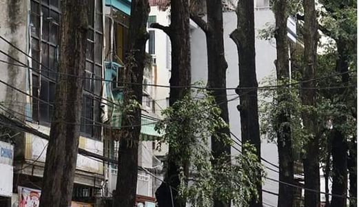 Mặt Phố Trần Xuân Soạn Hai Bà Trưng Kinh Doanh 111M2 Mt 4,5M