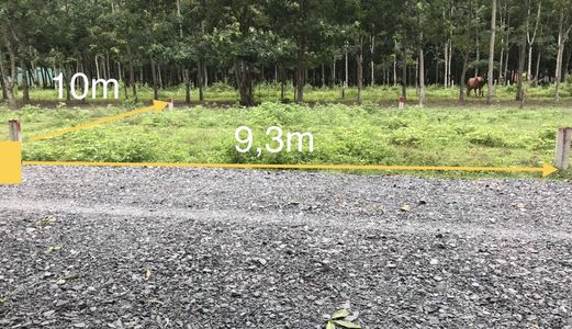 Bán Gấp Đất Mặt Tiền Đường Bùi Thị Điệt 95M2_ Cần Ra Với Giá 660Tr_Shr