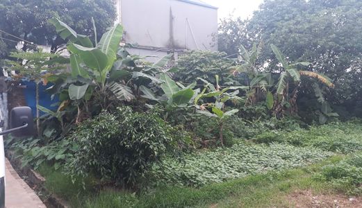 Bán Nhà Phố Nguyễn Văn Cừ, Dt 40M2, 5 Tầng, Giá 4 Tỷ, Lh 0988015968