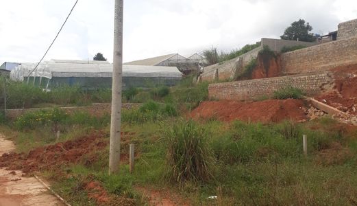 Bán Đất Đường Trần Đại Nghĩa, Phường 8, Đà Lạt 206Mv Đ4083