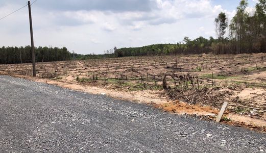 Đất Nền Sân Bay Long Thành Sổ Hồng Riêng Công Chứng Sang Tên Ngay