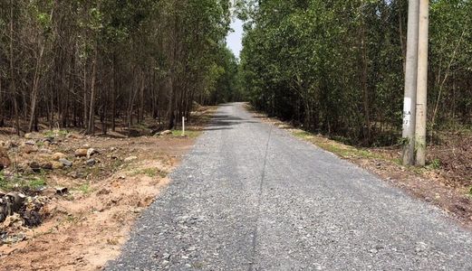 Đất Nền Sân Bay Long Thành Sổ Hồng Riêng Công Chứng Sang Tên Ngay