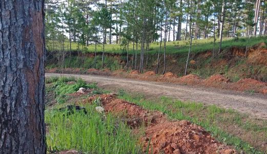 Bán Đất Xã Đasar, Huyện Lạc Dương, Tỉnh Lâm Đồng 12786,88Mv Đ4115