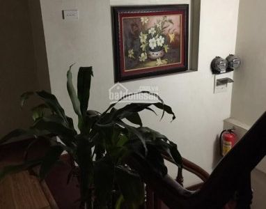 Chính Chủ Cho Thuê Phòng Giá Rẻ Full Đồ Tại Trần Thái Tông