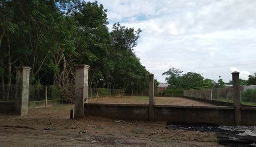 Cần Bán Đất Mặt Tiền Đường 64 Xã Nhuận Đức - Củ Chi