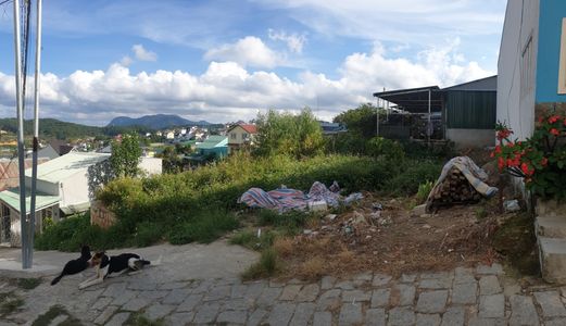 Bán Đất Đường Nguyễn Trung Trực, Phường 3, Đà Lạt 79,45Mv Đ4105