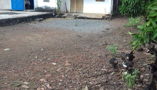 Cần Bán Nhà Cấp 4 Do Ông Bà Không Còn Sức Lao Động. Tại Xã Gia Canh Định Quán Đồng Nai 