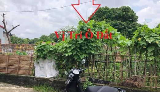  Bán Đất Thổ Cư Ngõ 28 Dốc Xưởng Chè,P.Cao Xanh,Hạ Long Giá Rẻ !!!