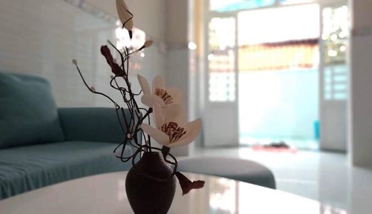 Bán Nhà Quận 9 Diện Tích 58M2 Bưng Ông Thoàn