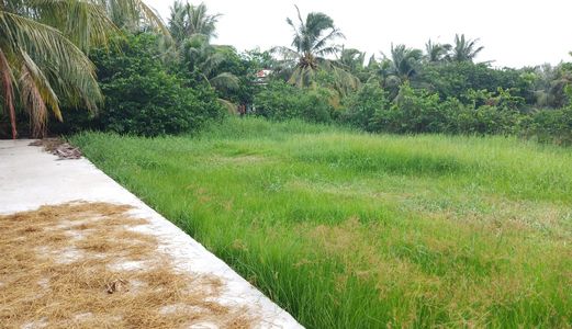 Đất Thổ Cư Chính Chủ, Sổ Hồng Riêng, Xã Tân Nhựt, Huyện Bình Chánh