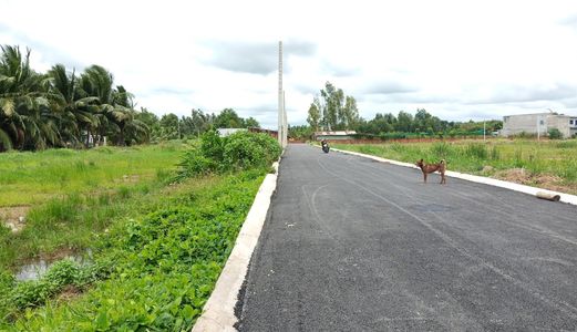 Thanh Lý Đất Nền - Shr, Xã Bình Lợi, Huyện Bình Chánh, Chỉ 600Tr/nền