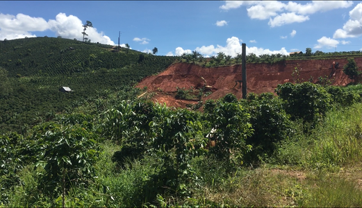 Đất View Đồi Gần Đà Lạt, Sổ Đỏ Chính Chủ, 2,3 Tỷ