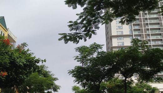 Tòa Complex 11 Tầng Cát Linh, Gara, Showroom, Apt, 86M2, Mặt Tiền 4.5M, 31 Tỷ. Lh 0917420066