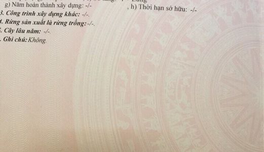 Bán Nhà Trọ Cô Giang Quận Phú Nhuận