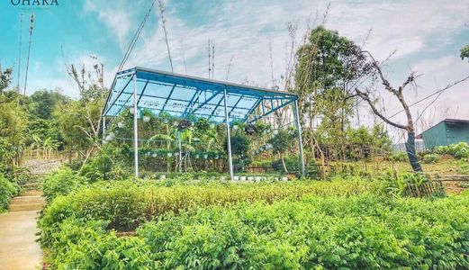 Ohara Farmstay – Mô Hình Đầu Tư Tiềm Năng, Lợi Nhuận Kép Hấp Dẫn