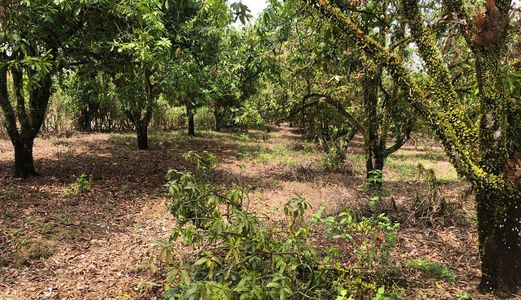 Đang Kẹt Tiền Bán Gấp Lô Đất Đẹp, Bằng Phẳng Dt 9555M2 Tại Phú Lý, Vĩnh Cửu, Đồng Nai, Giá Rẻ Nhất Khu Vực