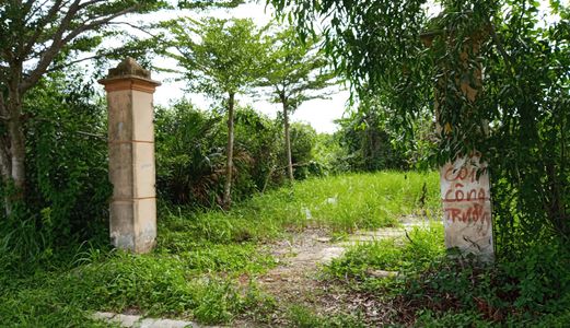 Đáo Hạn Ngân Hàng Cần Bán Gấp 275M2 Đất Đường Tam Thôn Hiệp, Cần Giờ Giá 4 Tỷ