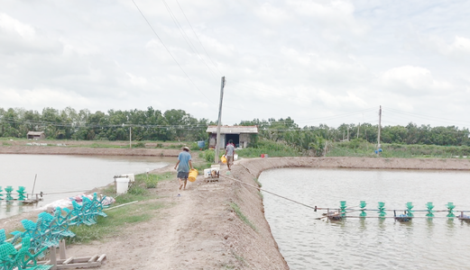 Bán Gấp 3,4 Hecta Đất Nuôi Trồng Thủy Sản Bình Đại, Bến Tre - Giá 3,4 Tỷ - Lh: 0989 956 901