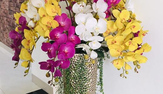 Bán Nhà 4 Tầng Kiệt 2 Ototo Tránh Nhau Nguyễn Tri Phương Vs Lê Đình Lý Vi Trí Quá Đệp