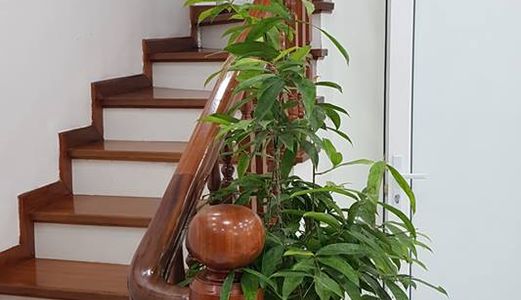 Nhà Đẹp Chất Xịn Giá Rẻ Quận Hai Bà Trưng Giá Bán Chỉ 7.2 Tỉ 