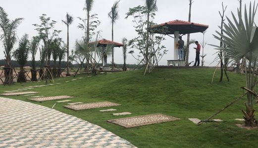 Đất Nền Bàu Bàng Giá Rẻ Bất Ngờ